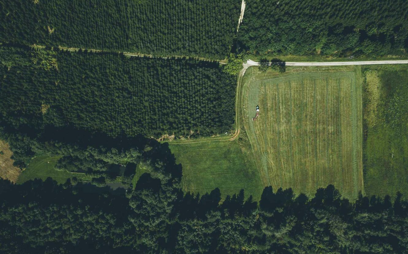 Drohnenaufnahme von einem grünen Wald mit einer Kahlfläche dazwischen