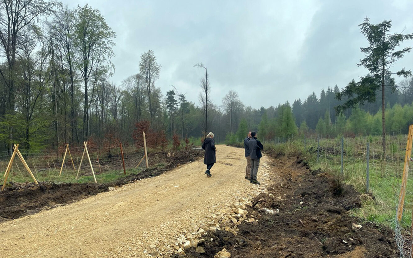 Mitarbeiter von Deutim begehen zusammen mit dem Förster die aufzuforstenden Flächen über einen Waldweg