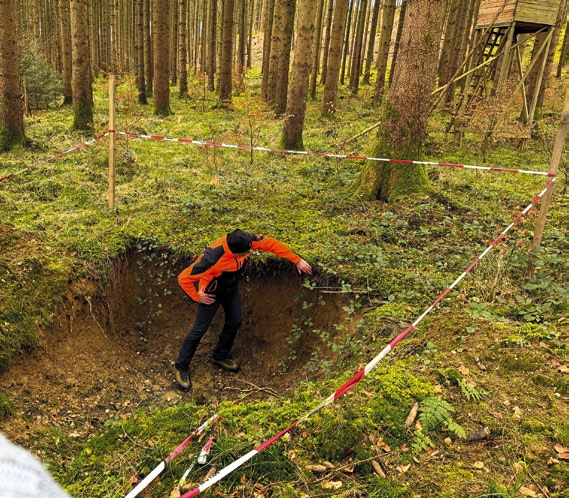 Waldboden absichtlich erklärt