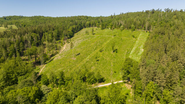dji 0335